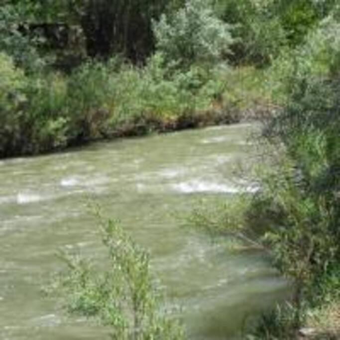 טרינידד Quiet Full-Size Bed Close To Town 420 Friendly מראה חיצוני תמונה